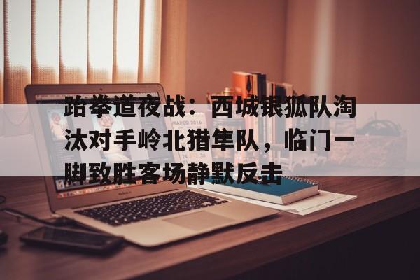  跆拳道夜战：西城银狐队淘汰对手岭北猎隼队，临门一脚致胜客场静默反击-开云线上网站